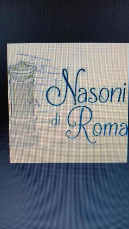 Nasoni Di Roma Aparthotel Exterior foto