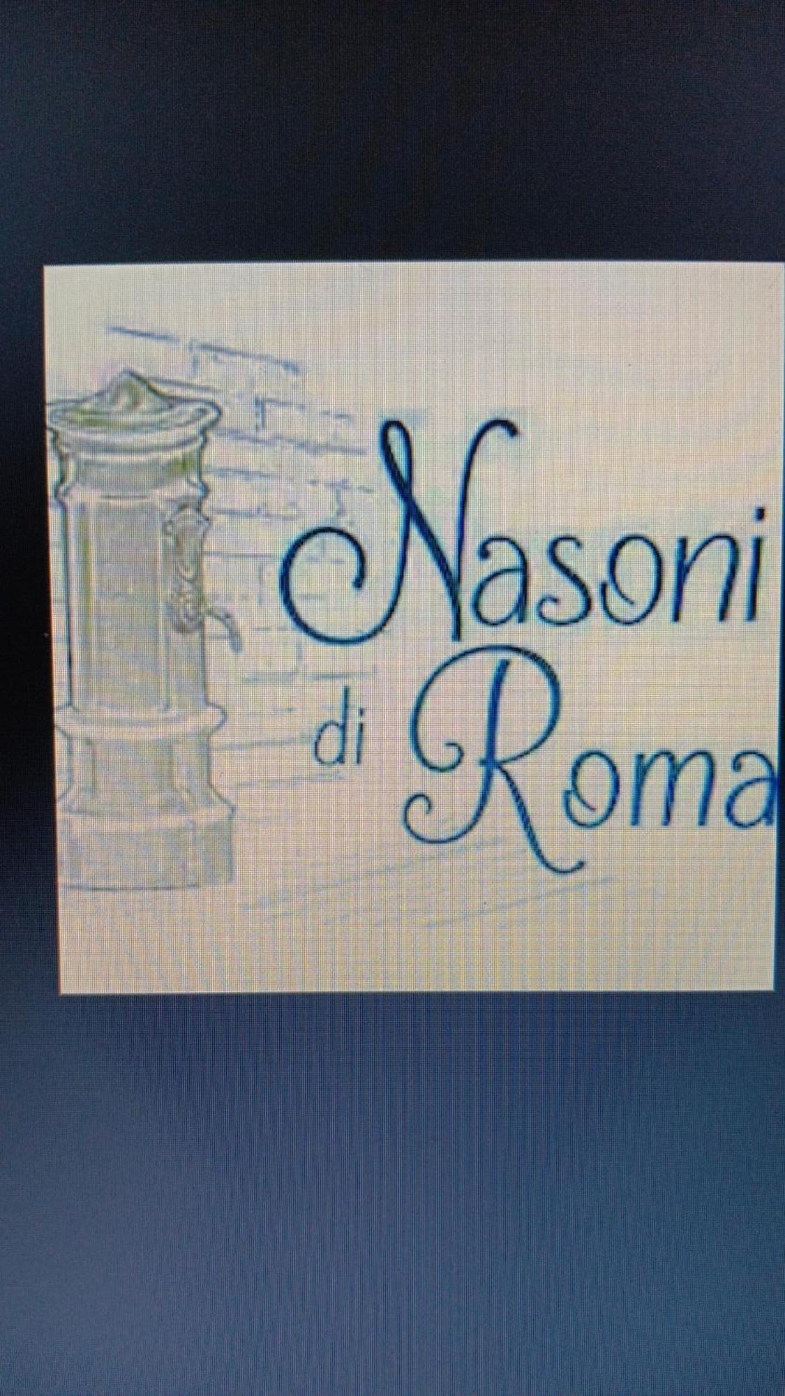Nasoni Di Roma Aparthotel Exterior foto